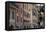Italy, Liguria Province, Santa Margherita Ligure, pastel buildings-Alan Klehr-Framed Premier Image Canvas