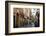 Italy, Lombardy, Cremona, cobblestone street with bicycles and old buildings-Alan Klehr-Framed Photographic Print