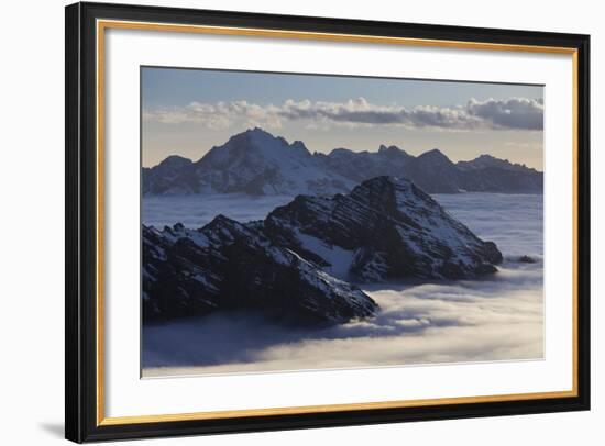 Italy, Lombardy, Stilfser Joch (Col) National Park, View of Monte Scorluzzo, Cresta Di Riding-Rainer Mirau-Framed Photographic Print