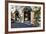 Italy, Lucca, Store Fronts Ready for the Day.-Terry Eggers-Framed Photographic Print
