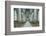 Italy, Milan, Cathedral Duomo di Milano Interior-Rob Tilley-Framed Photographic Print