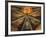 Italy, Montefalco, Vault of Apse of Church of Saint Francis Painted with Saints-null-Framed Giclee Print