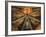 Italy, Montefalco, Vault of Apse of Church of Saint Francis Painted with Saints-null-Framed Giclee Print