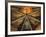 Italy, Montefalco, Vault of Apse of Church of Saint Francis Painted with Saints-null-Framed Giclee Print