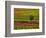 Italy, Montepulciano, Autumn Vineyards-Terry Eggers-Framed Photographic Print