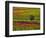 Italy, Montepulciano, Autumn Vineyards-Terry Eggers-Framed Photographic Print