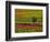 Italy, Montepulciano, Autumn Vineyards-Terry Eggers-Framed Photographic Print