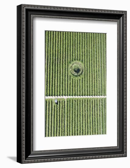 Italy, Natural Forms, Region of Trentino, Structure-Frank Fleischmann-Framed Photographic Print