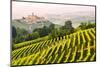 Italy, Piedmont,Cuneo district, Langhe, Castiglione Falletto, the vineyards and the castle of Casti-ClickAlps-Mounted Photographic Print