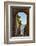 Italy, Pienza, Doorway to Tuscany-Hollice Looney-Framed Photographic Print