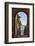 Italy, Pienza, Doorway to Tuscany-Hollice Looney-Framed Photographic Print