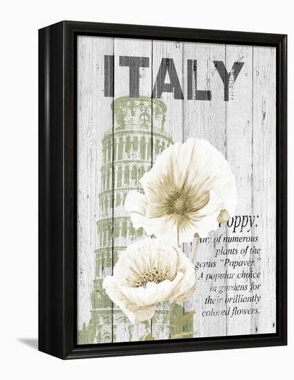 Italy Poppies-Alicia Soave-Framed Stretched Canvas