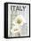 Italy Poppies-Alicia Soave-Framed Stretched Canvas