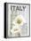 Italy Poppies-Alicia Soave-Framed Stretched Canvas