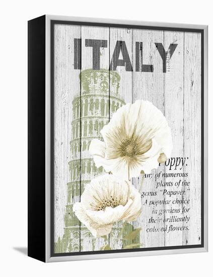 Italy Poppies-Alicia Soave-Framed Stretched Canvas