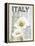 Italy Poppies-Alicia Soave-Framed Stretched Canvas