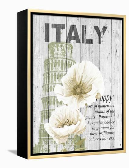 Italy Poppies-Alicia Soave-Framed Stretched Canvas