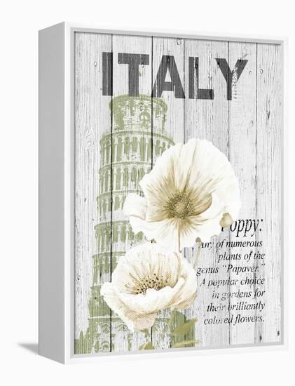 Italy Poppies-Alicia Soave-Framed Stretched Canvas