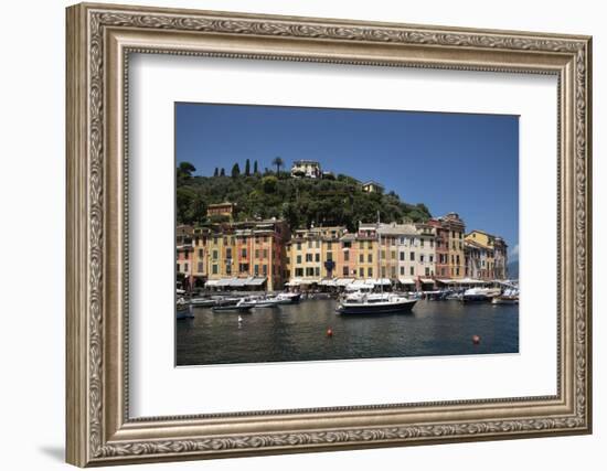 Italy, Province of Genoa, Portofino. Fishing village on the Ligurian Sea, overlooking harbor-Alan Klehr-Framed Photographic Print