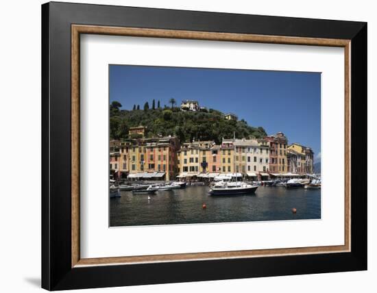 Italy, Province of Genoa, Portofino. Fishing village on the Ligurian Sea, overlooking harbor-Alan Klehr-Framed Photographic Print