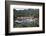 Italy, Province of Genoa, Portofino. Fishing village on the Ligurian Sea, overlooking harbor-Alan Klehr-Framed Photographic Print