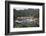 Italy, Province of Genoa, Portofino. Fishing village on the Ligurian Sea, overlooking harbor-Alan Klehr-Framed Photographic Print