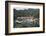 Italy, Province of Genoa, Portofino. Fishing village on the Ligurian Sea, overlooking harbor-Alan Klehr-Framed Photographic Print