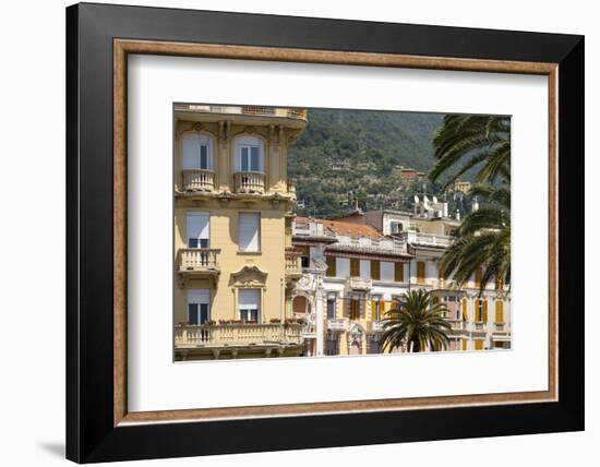 Italy, Province of Genoa, Rapallo. Colorful buildings in resort setting-Alan Klehr-Framed Photographic Print