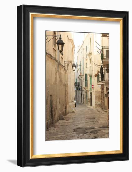 Italy, Puglia. Small commune of the Metropolitan City of Bari, Alberobello.-Emily Wilson-Framed Photographic Print