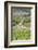 Italy, Radda. Vineyards and Olive Groves-Jaynes Gallery-Framed Photographic Print