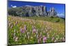 Italy, Region Trentino South Tirol, the Dolomites, Seiser Alp, View About the Seiser Alp on the Sch-Bernd Rommelt-Mounted Photographic Print