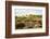 Italy, Riserva Naturale di Massaciuccoli San Rossore, protected coastal forest in Tuscany.-Michele Molinari-Framed Photographic Print