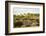 Italy, Riserva Naturale di Massaciuccoli San Rossore, protected coastal forest in Tuscany.-Michele Molinari-Framed Photographic Print