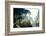 Italy, Riserva Naturale di Massaciuccoli San Rossore, protected  forest in Tuscany. Winter views.-Michele Molinari-Framed Photographic Print