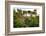 Italy, Riserva Naturale di Massaciuccoli San Rossore, protected forest in Tuscany. Winter views.-Michele Molinari-Framed Photographic Print