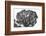 Italy, Rome, maritime pine seen from below.-Michele Molinari-Framed Photographic Print