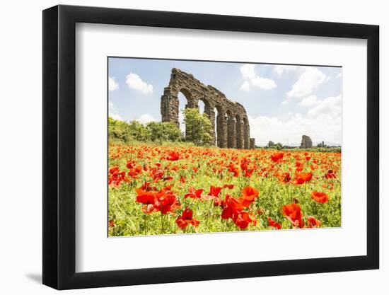 Italy, Rome. Parco Regionale dell'Appia, Antica, Park of the Aqueducts-Alison Jones-Framed Photographic Print