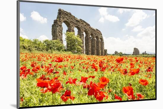 Italy, Rome. Parco Regionale dell'Appia, Antica, Park of the Aqueducts-Alison Jones-Mounted Photographic Print