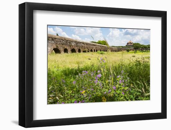 Italy, Rome. Parco Regionale dell'Appia, Antica, Park of the Aqueducts-Alison Jones-Framed Photographic Print