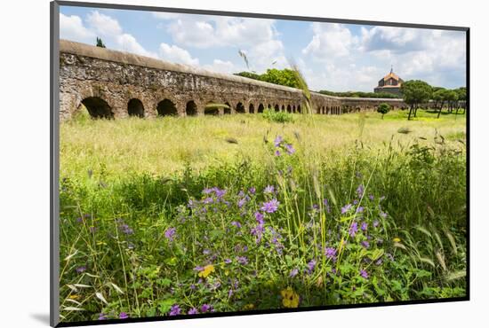 Italy, Rome. Parco Regionale dell'Appia, Antica, Park of the Aqueducts-Alison Jones-Mounted Photographic Print