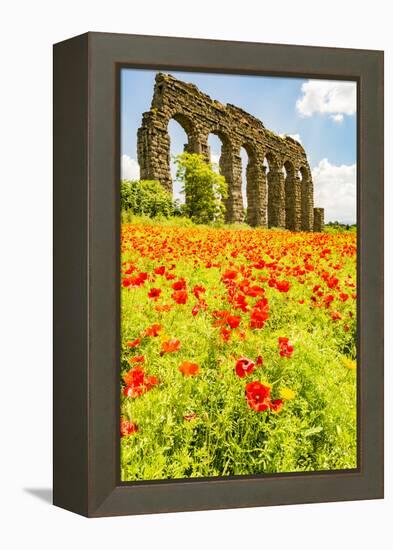 Italy, Rome. Parco Regionale dell'Appia, Antica, Park of the Aqueducts-Alison Jones-Framed Premier Image Canvas