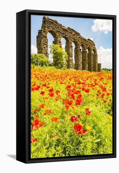 Italy, Rome. Parco Regionale dell'Appia, Antica, Park of the Aqueducts-Alison Jones-Framed Premier Image Canvas