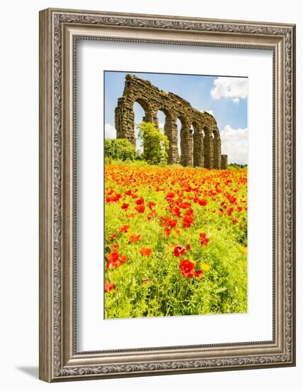 Italy, Rome. Parco Regionale dell'Appia, Antica, Park of the Aqueducts-Alison Jones-Framed Photographic Print