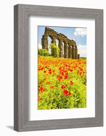 Italy, Rome. Parco Regionale dell'Appia, Antica, Park of the Aqueducts-Alison Jones-Framed Photographic Print