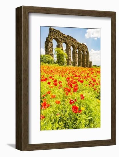 Italy, Rome. Parco Regionale dell'Appia, Antica, Park of the Aqueducts-Alison Jones-Framed Photographic Print