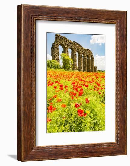 Italy, Rome. Parco Regionale dell'Appia, Antica, Park of the Aqueducts-Alison Jones-Framed Photographic Print