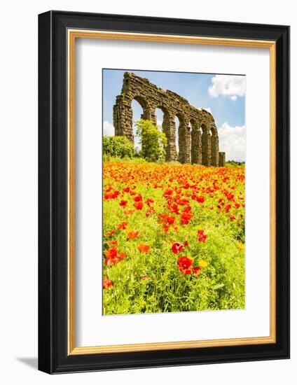 Italy, Rome. Parco Regionale dell'Appia, Antica, Park of the Aqueducts-Alison Jones-Framed Photographic Print