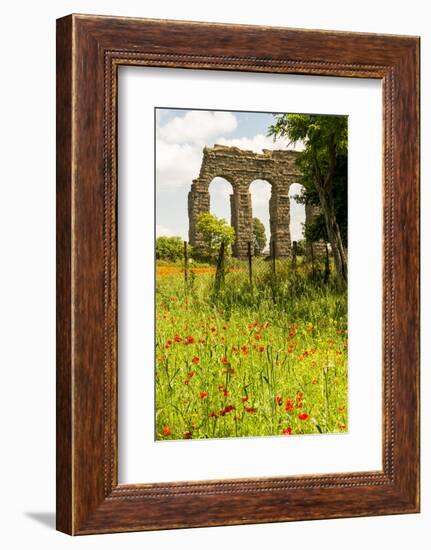 Italy, Rome. Parco Regionale dell'Appia, Antica, Park of the Aqueducts-Alison Jones-Framed Photographic Print