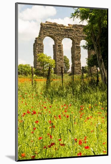 Italy, Rome. Parco Regionale dell'Appia, Antica, Park of the Aqueducts-Alison Jones-Mounted Photographic Print