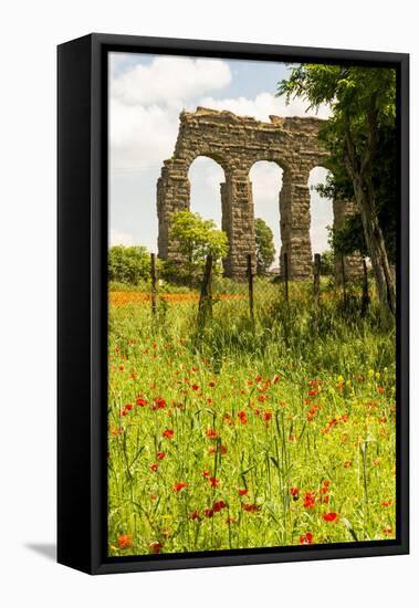 Italy, Rome. Parco Regionale dell'Appia, Antica, Park of the Aqueducts-Alison Jones-Framed Premier Image Canvas